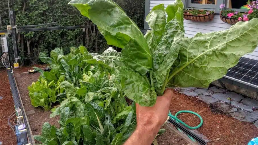 FarmBot 1.0