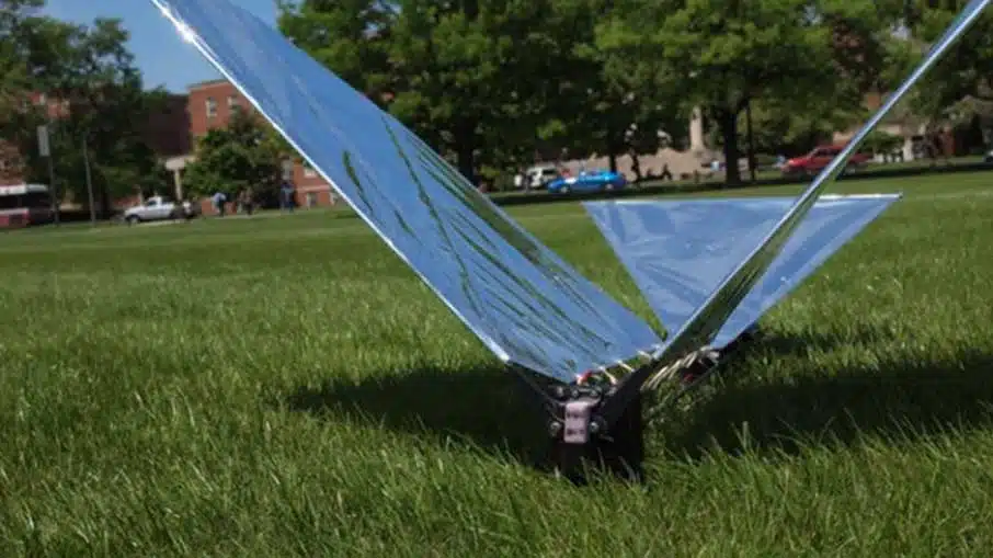 Robotic Bird Flight