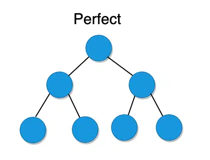 perfect