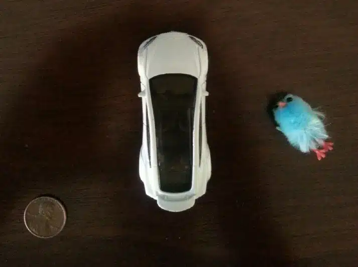 pixel to size