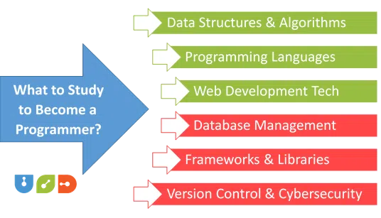 What to Study to Become a Programmer?