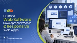 Custom Web Software Development Process & Responsive Web Apps